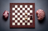 Checkmate by Cemal ŞAMLI