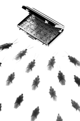 Follow the Money by Cemal ŞAMLI