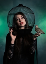 Free by Cemal ŞAMLI