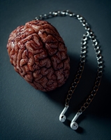 Listen to Brain by Cemal ŞAMLI