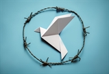 Trapped Peace by Cemal ŞAMLI
